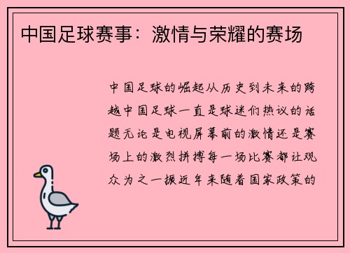 中国足球赛事：激情与荣耀的赛场
