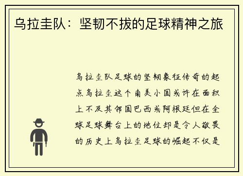 乌拉圭队：坚韧不拔的足球精神之旅