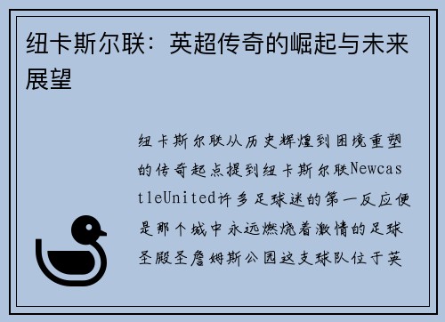 纽卡斯尔联：英超传奇的崛起与未来展望
